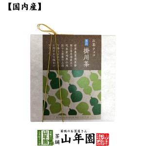 お茶チョコ 東山 掛川茶 2枚入り チョコレート お菓子 緑茶 まっちゃ 健康 送料無料 国産 緑茶 お茶 父の日 お中元 2024 ギフト プレゼン