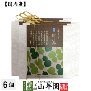 お茶チョコ 東山 掛川茶 2枚入り×6個セット チョコレート お菓子 緑茶 まっちゃ 健康 プレミアム特典で送料無料 国産 緑茶 お茶 父の日 