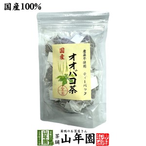 【国産 100%】オオバコ茶ティーパック 1.5g×20p 無農薬 ノンカフェイン 宮崎県産 送料無料 オオバコ オオバコダイエット 健康茶 妊婦 ダ