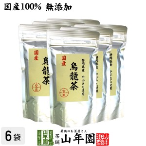 【国産 100%】烏龍茶 ウーロン茶 100g×6袋セット 無添加 静岡県産 やぶきた品種 国産 ダイエット 日本茶 茶葉 ギフト 送料無料 お茶 母