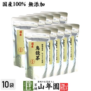 【国産 100%】烏龍茶 ウーロン茶 100g×10袋セット 無添加 静岡県産 やぶきた品種 国産 ダイエット 日本茶 茶葉 ギフト プレミアム特典で