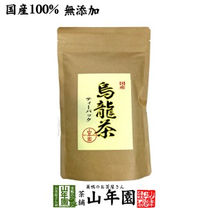 【国産 無添加 100%】烏龍茶 ウーロン茶 ティーパック 2.5g×24パック 無添加 大分県産 ティーバッグ 国産 ダイエット 日本茶 送料無料 