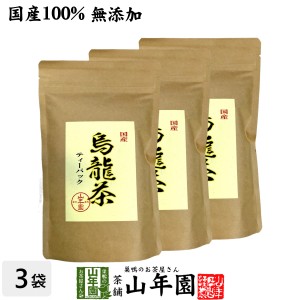 【国産 無添加 100%】烏龍茶 ウーロン茶 ティーパック 2.5g×24パック×3袋セット 無添加 大分県産 ティーバッグ 国産 プレミアム特典で