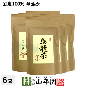 【国産 無添加 100%】烏龍茶 ウーロン茶 ティーパック 2.5g×24パック×6袋セット 無添加 大分県産 ティーバッグ 国産 プレミアム特典で