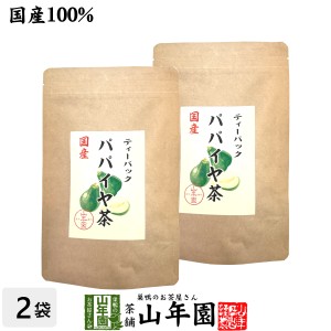 【国産100%】パパイヤ茶 ティーバッグ 宮崎県産 ノンカフェイン 18g（1.5g×12p）×2袋セット プレミアム特典で送料無料 papaya tea 国産