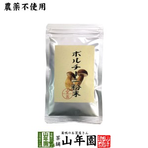 【本場イタリア産無農薬100%】 ポルチーニ茸の粉末 40g 無農薬で栽培されたポルチーニ茸を温風乾燥させて粉末に 健康 送料無料 緑茶 ダイ