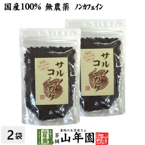 【国産 100%】サルノコシカケ茶 70g×2袋セット 宮崎県産 ノンカフェイン 無農薬 さるのこしかけ サルノコシカケ 健康茶 妊婦 プレミアム