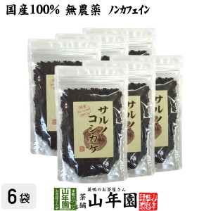 【国産 100%】サルノコシカケ茶 70g×6袋セット 宮崎県産 ノンカフェイン 無農薬 さるのこしかけ サルノコシカケ 健康茶 妊婦 プレミアム