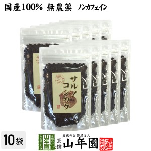 【国産 100%】サルノコシカケ茶 70g×10袋セット 宮崎県産 ノンカフェイン 無農薬 さるのこしかけ サルノコシカケ 健康茶 妊婦 プレミア