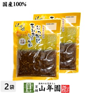 【国産原料使用】沢田の味 ぶっかけ玉ねぎしょうが 80g×2袋セット プレミアム特典で送料無料 自然と健康の郷 群馬県吾妻郡産 健康 ダイ