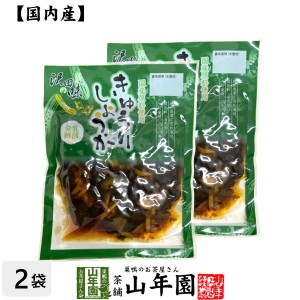 【国産原料使用】沢田の味 きゅうりしょうが しょうゆ漬 80g×2袋セット プレミアム特典で送料無料 自然と健康の郷 群馬県吾妻郡産 健康 