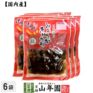 【国産原料使用】沢田の味 みょうがきゅうり しょうゆ漬 80g×6袋セット プレミアム特典で送料無料 自然と健康の郷 群馬県吾妻郡産 健康 