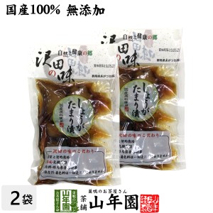 【国産原料使用】沢田の味 しょうが たまり漬 100g×2袋セット 自然と健康の郷 群馬県吾妻郡産 健康 ダイエット チャイ 送料無料 お茶 母