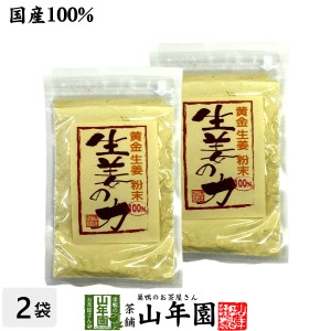 しょうが 粉末 国産 生姜の力 55g×2袋セット 黄金生姜100%の生姜粉末 しょうが 粉末 生姜力 ギフト 贈り物 健康 ダイエット お土産 プレ