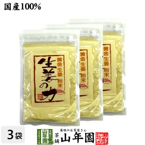 しょうが 粉末 国産 生姜の力 55g×3袋セット 黄金生姜100%の生姜粉末 しょうが 粉末 生姜力 ギフト 贈り物 健康 ダイエット ぽかぽか プ