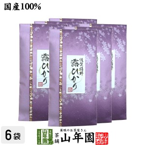 日本茶 お茶 茶葉 静岡 掛川 露ひかり 100g×6袋セット 健康 プレミアム特典で送料無料 国産 緑茶 ダイエット ギフト プレゼント 父の日 