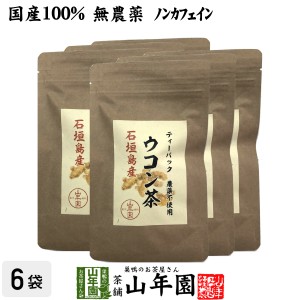 【国産 無農薬 100%】ウコン茶 1.5g×10包×6袋セット ティーバッグ うこん 沖縄県産 ノンカフェイン ウコン茶 うこん ウコン茶 サプリ 