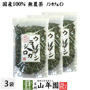 【国産 100%】ウラジロガシ茶 100g×3袋セット 宮崎県産 ノンカフェイン 無農薬 ウラジロガシ 健康茶 妊婦 ダイエット プレミアム特典で