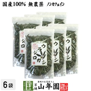 【国産 100%】ウラジロガシ茶 100g×6袋セット 宮崎県産 ノンカフェイン 無農薬 ウラジロガシ 健康茶 妊婦 ダイエット プレミアム特典で