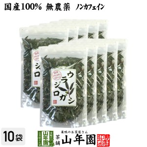 【国産 100%】ウラジロガシ茶 100g×10袋セット 宮崎県産 ノンカフェイン 無農薬 ウラジロガシ 健康茶 妊婦 ダイエット プレミアム特典で