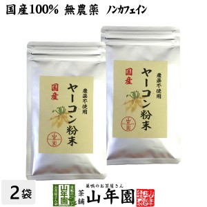 【国産 無農薬 100%】ヤーコン粉末 50g×2袋セット 青森県産 ノンカフェイン ギフト プレミアム特典で送料無料 お茶 母の日 父の日 2024 