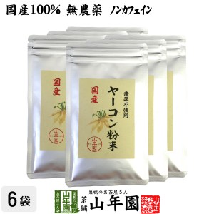 【国産 無農薬 100%】ヤーコン粉末 50g×6袋セット 青森県産 ノンカフェイン ギフト プレミアム特典で送料無料 お茶 母の日 父の日 2024 