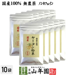 【国産 無農薬 100%】ヤーコン粉末 50g×10袋セット 青森県産 ノンカフェイン ギフト プレミアム特典で送料無料 お茶 父の日 お中元 2024