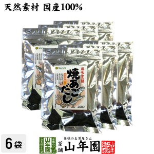 あごだし パック 焼きあごだし 160g×6袋セット 天然素材国産100% 鰹節 かつお節 かつおぶし カツオ節 無添加 粉末 ギフト プレミアム特