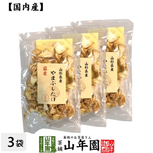 【国産100%】やまぶしたけ 20g×3袋セット プレミアム特典で送料無料 ヤマブシタケ 山伏茸 ギフト プレゼント お茶 父の日 お中元 2024 