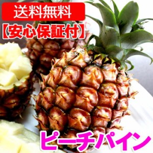 ピーチパイン(パイナップル) 約5.0kg 沖縄産 フルーツ ギフト 果物 フルーツ 野菜 訳あり フルーツ 果物 ギフト