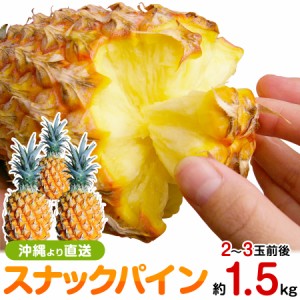 沖縄産 スナックパイン 約1.5kg 自社管理農園から直送だから【安心保証付】 パイナップルの通販はお任せ下さい パイナップル 果物 フルー