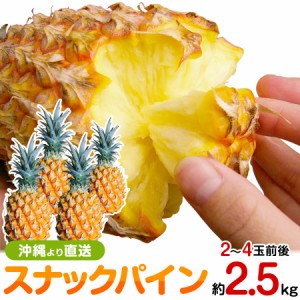 沖縄産 スナックパイン 約2.5kg 自社管理農園から直送だから【安心保証付】 パイナップルの通販はお任せ下さい パイナップル 果物 フルー