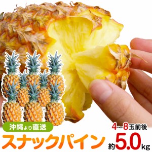 沖縄産 スナックパイン 約5.0kg 自社管理農園から直送だから【安心保証付】 パイナップルの通販はお任せ下さい パイナップル 果物 フルー