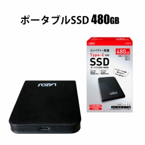 SSD 480GB ポータブル ギガ 高速 Type-C 対応 外付け SSD ドライブ 全国一律送料無料