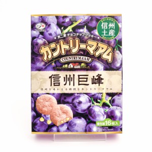 信州限定不二家チョコチップクッキーカントリーマアム信州巨峰味｜信州長野県のお土産（おみやげ）葡萄　スナック菓子　お土産通販