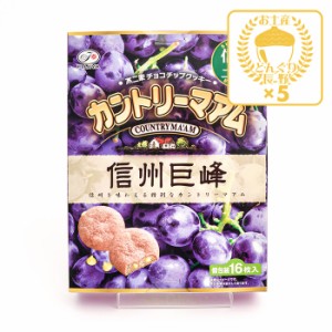 信州限定不二家チョコチップクッキーカントリーマアム信州巨峰味×5箱（送料込）（信州長野のお土産 お菓子 チョコレート菓子 土産 おみ