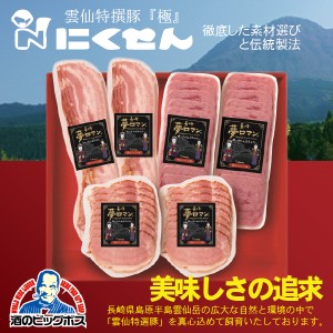 ハムギフト 長崎 雲仙 国産 冷蔵直送 送料無料 にくせん NPG-17 スライスセット詰め合わせ セット『NKS』