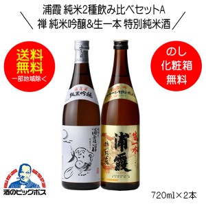 日本酒飲み比べセット 辛口 ギフト スマプレ会員 送料無料 浦霞 純米2種飲み比べセットA 禅 純米吟醸＆生一本 特別純米酒 ギフト 720ml×