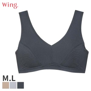 期間限定20%OFF 【メール便15】ウイング Wingスポーツ ブラジャー フルカップ ノンワイヤー(M Lサイズ)NB4033