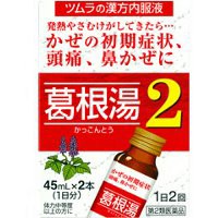 【第2類医薬品】 ツムラ漢方根湯液2（かっこんとうえき2） 45ｍｌ×2本