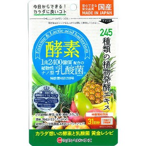 ミナミヘルシーフーズ 酵素＋植物性乳酸菌 62球