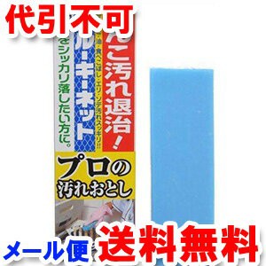 ブルーキーネット プロの汚れおとし 衣料洗剤 ネット付 110g メール便送料無料