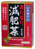 山本漢方 濃い。旨い。減肥茶240g （10ｇ×24包）