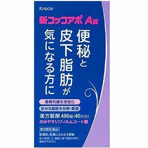 【第2類医薬品】 クラシエ漢方 新コッコアポＡ錠 480錠