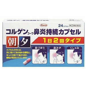 【第（2）類医薬品】 コルゲンコーワ 鼻炎持続カプセル 24カプセル