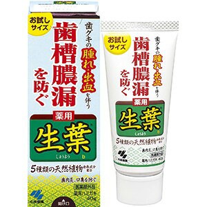 小林製薬 薬用 生葉（しょうよう）c 40g 医薬部外品