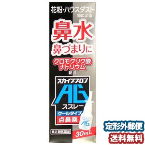 【第2類医薬品】 スカイブブロンAGスプレー 30mL　メール便送料無料