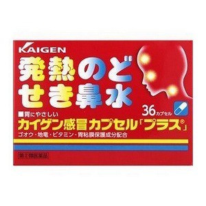 【第（2）類医薬品】 カイゲン感冒カプセル「プラス」 36カプセル メール便送料無料 ※セルフメディケーション税制対象商品