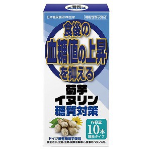 菊芋イヌリン糖質対策 2.5g×10本 メール便送料無料