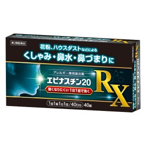 【第2類医薬品】 エピナスチン20 RX 40錠 ※セルフメディケーション税制対象商品 メール便送料無料